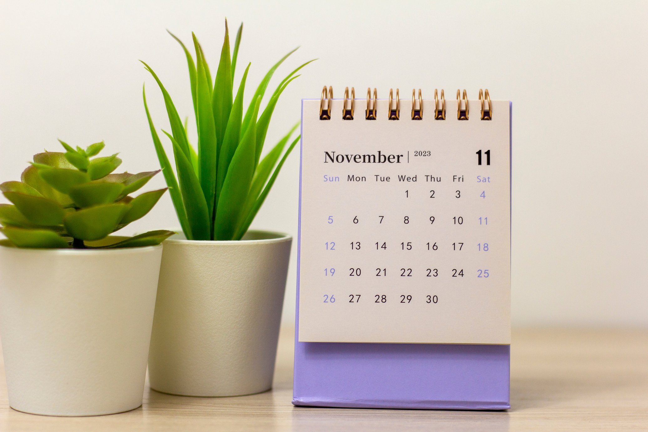 Desktop calendar for November 2023. Desktop calendar for planning, appointments.