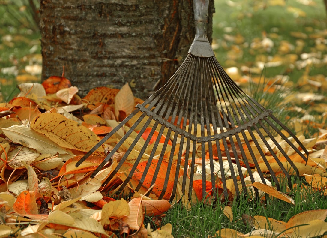 Rake in the Garden